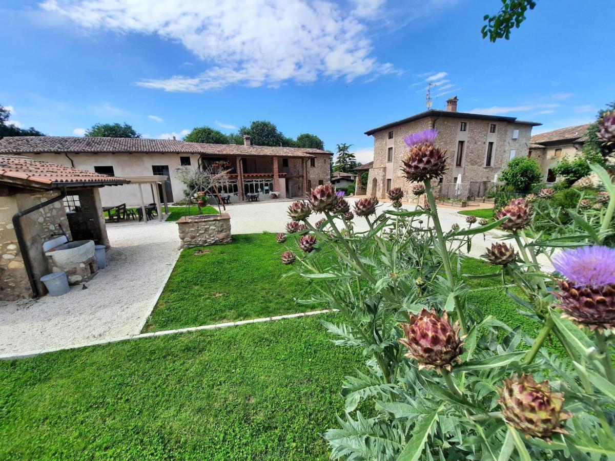 Corte Davini Agriturismo Monzambano Dış mekan fotoğraf