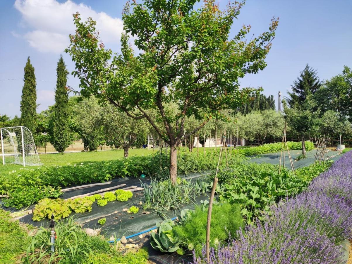 Corte Davini Agriturismo Monzambano Dış mekan fotoğraf