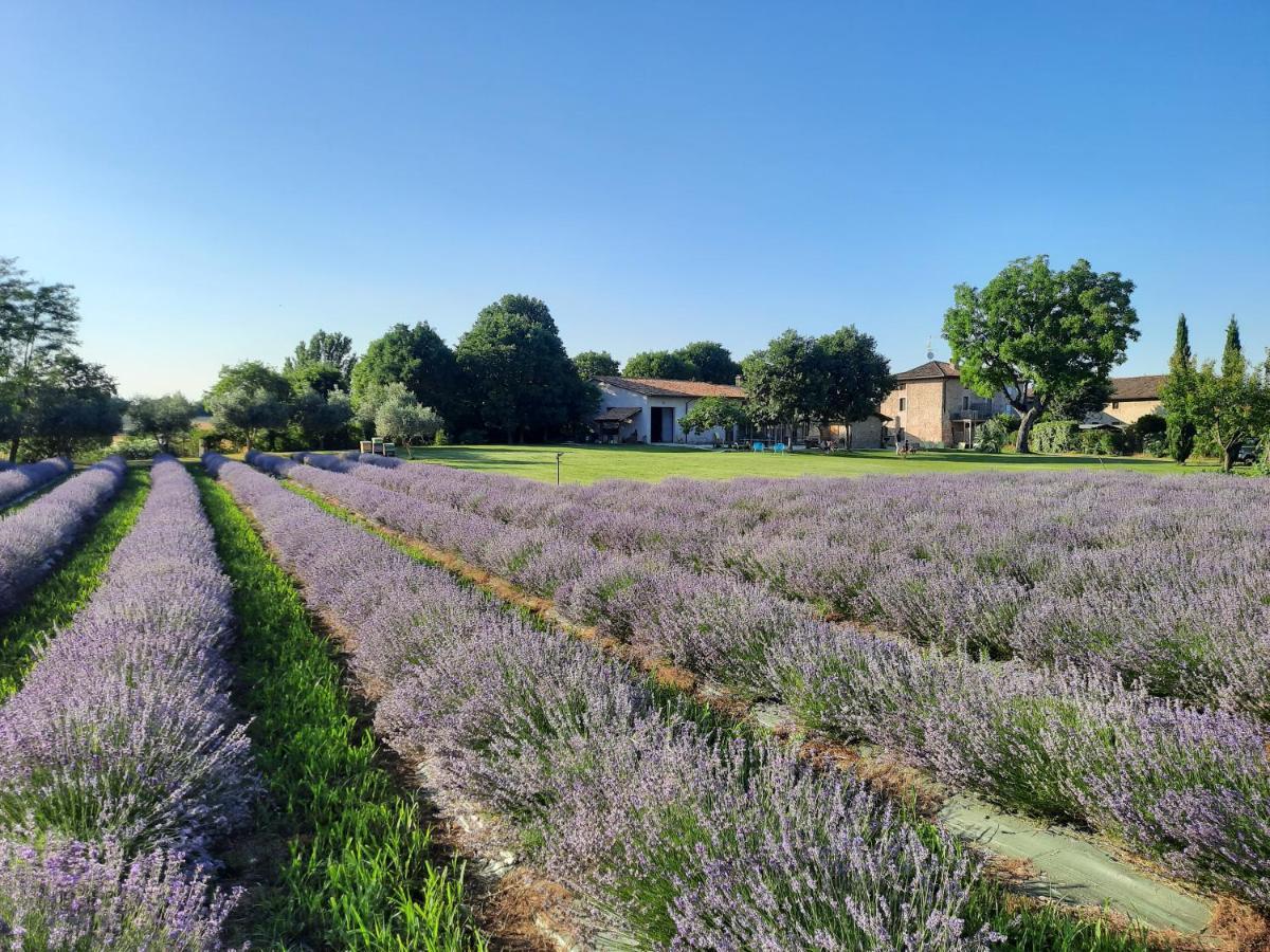 Corte Davini Agriturismo Monzambano Dış mekan fotoğraf