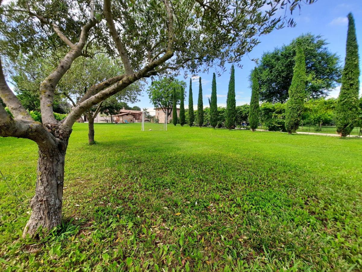 Corte Davini Agriturismo Monzambano Dış mekan fotoğraf