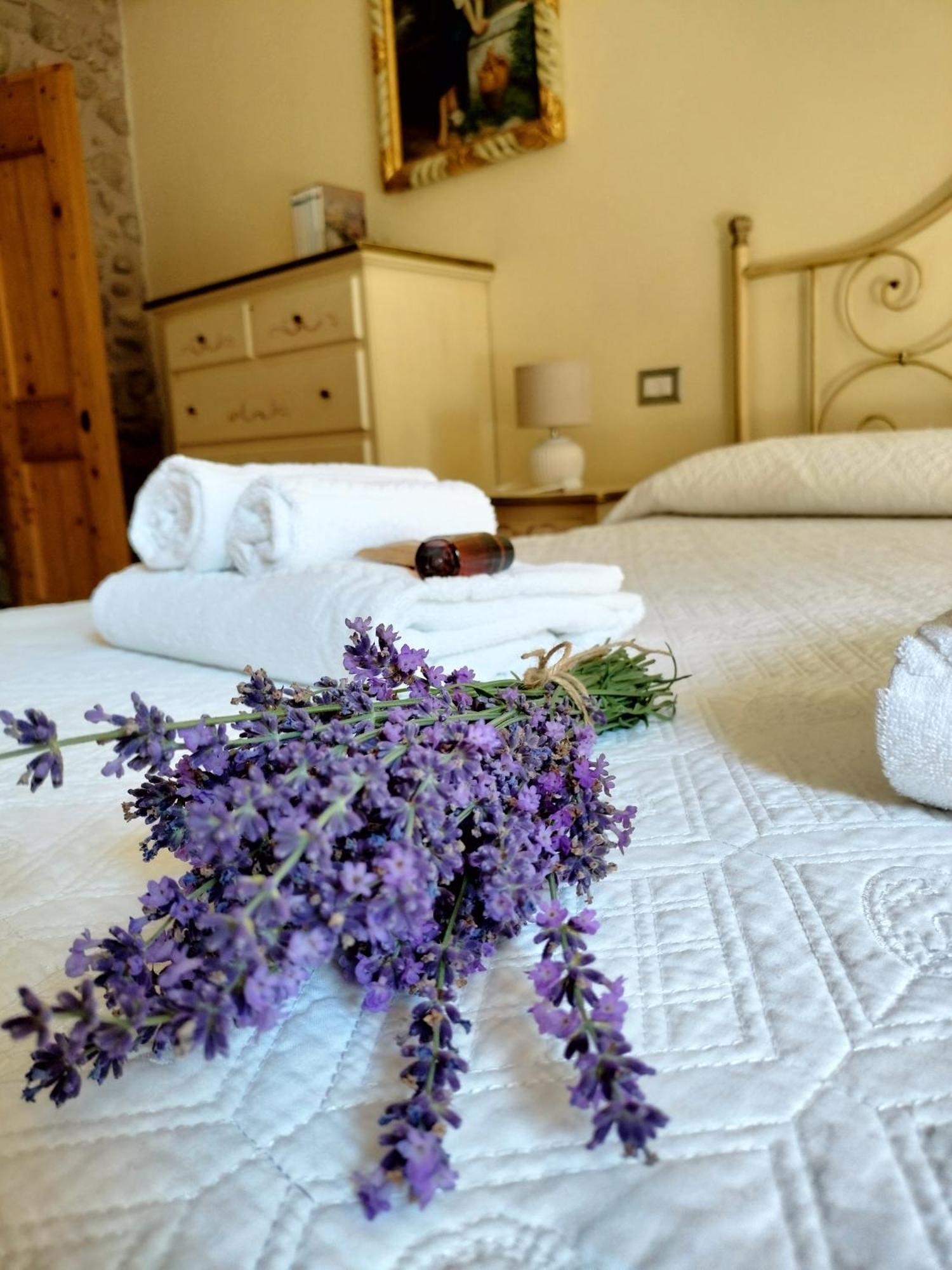 Corte Davini Agriturismo Monzambano Dış mekan fotoğraf