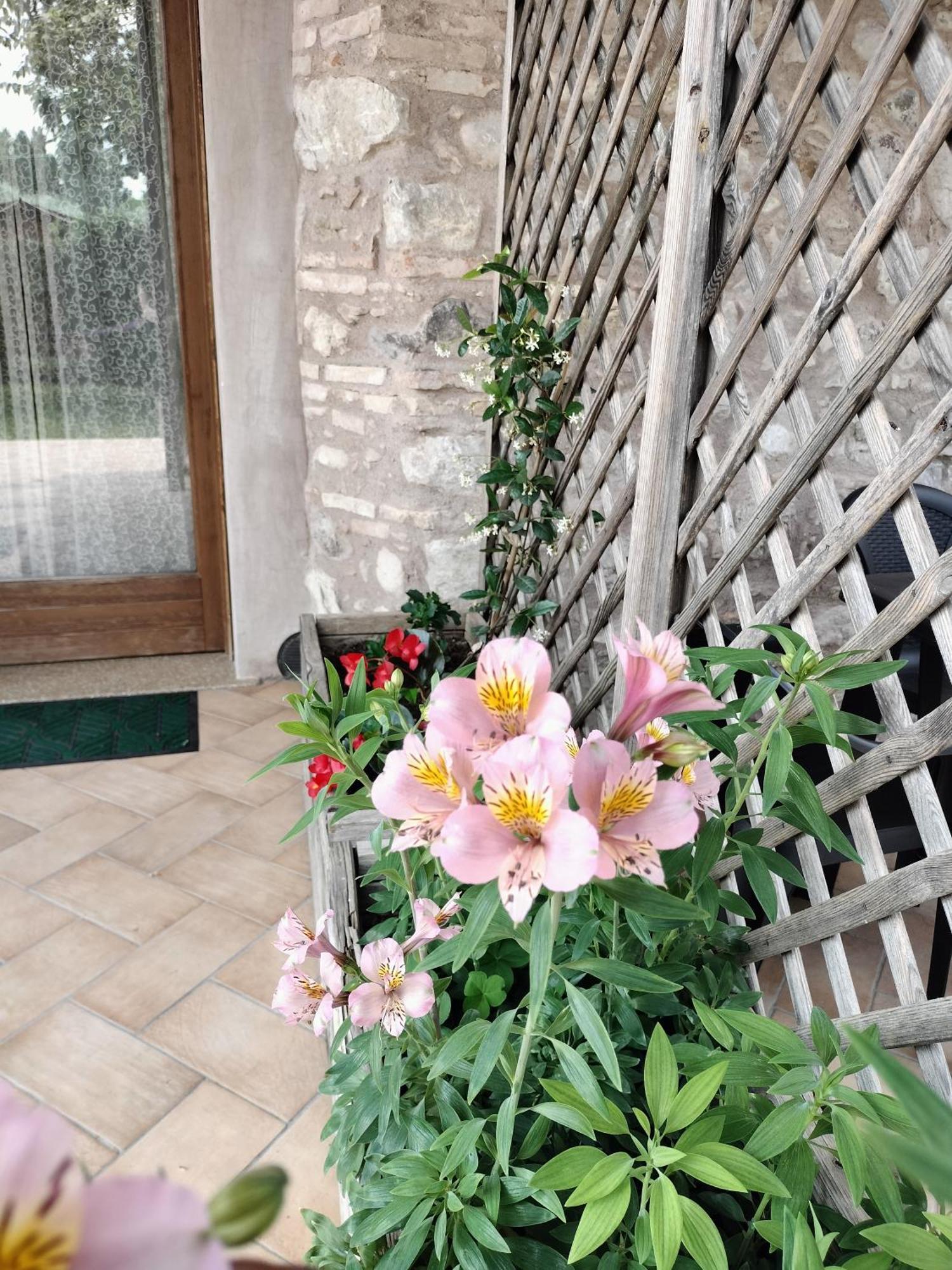 Corte Davini Agriturismo Monzambano Dış mekan fotoğraf
